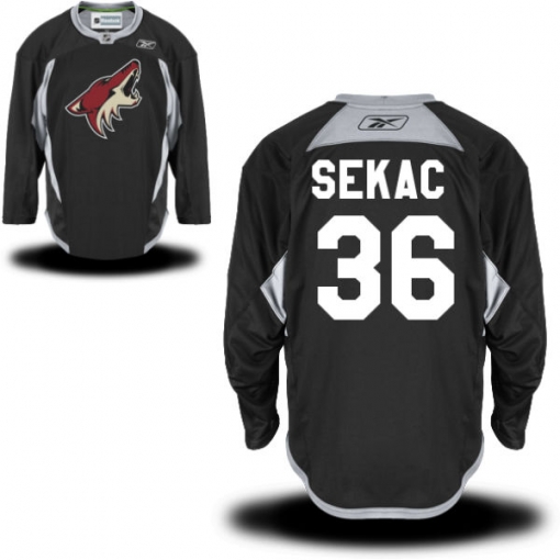 Jiri Sekac Youth Reebok Arizona Coyotes Premier Black Alternate Practice Jersey
