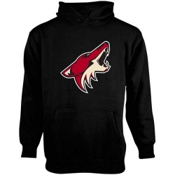 NHL Old Time Hockey Arizona Coyotes Youth Big Logo Fleece Pullover Hoodie - Black