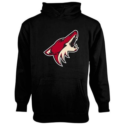 NHL Old Time Hockey Arizona Coyotes Youth Big Logo Fleece Pullover Hoodie - Black