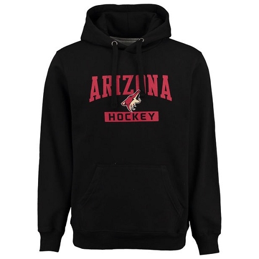 NHL Arizona Coyotes Rinkside City Pride Pullover Hoodie - Black