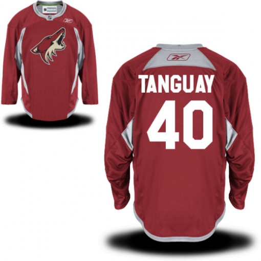 Alex Tanguay Reebok Arizona Coyotes Authentic Burgundy Practice Jersey