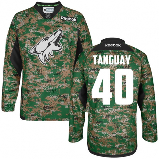 Alex Tanguay Youth Reebok Arizona Coyotes Premier Camo Digital Veteran's Day Practice Jersey