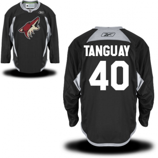 Alex Tanguay Youth Reebok Arizona Coyotes Premier Black Alternate Practice Jersey