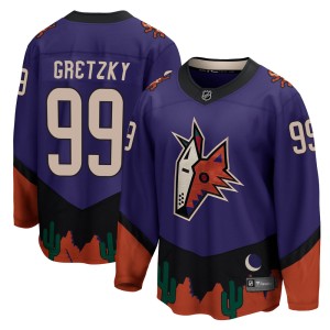 Wayne Gretzky Men's Fanatics Branded Arizona Coyotes Breakaway Purple 2020/21 Special Edition Jersey