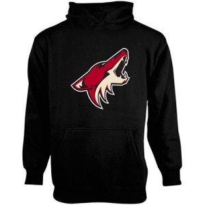Youth Arizona Coyotes Black Men's Old Time Hockey Big Logo Fleece Pullover Hoodie -